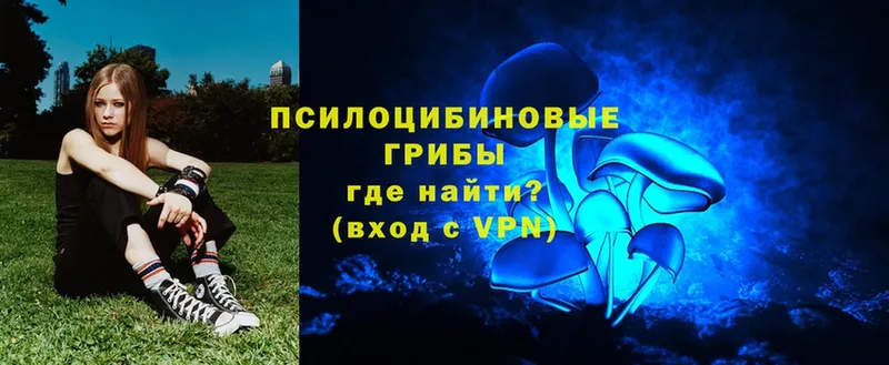 Галлюциногенные грибы Magic Shrooms  Владикавказ 